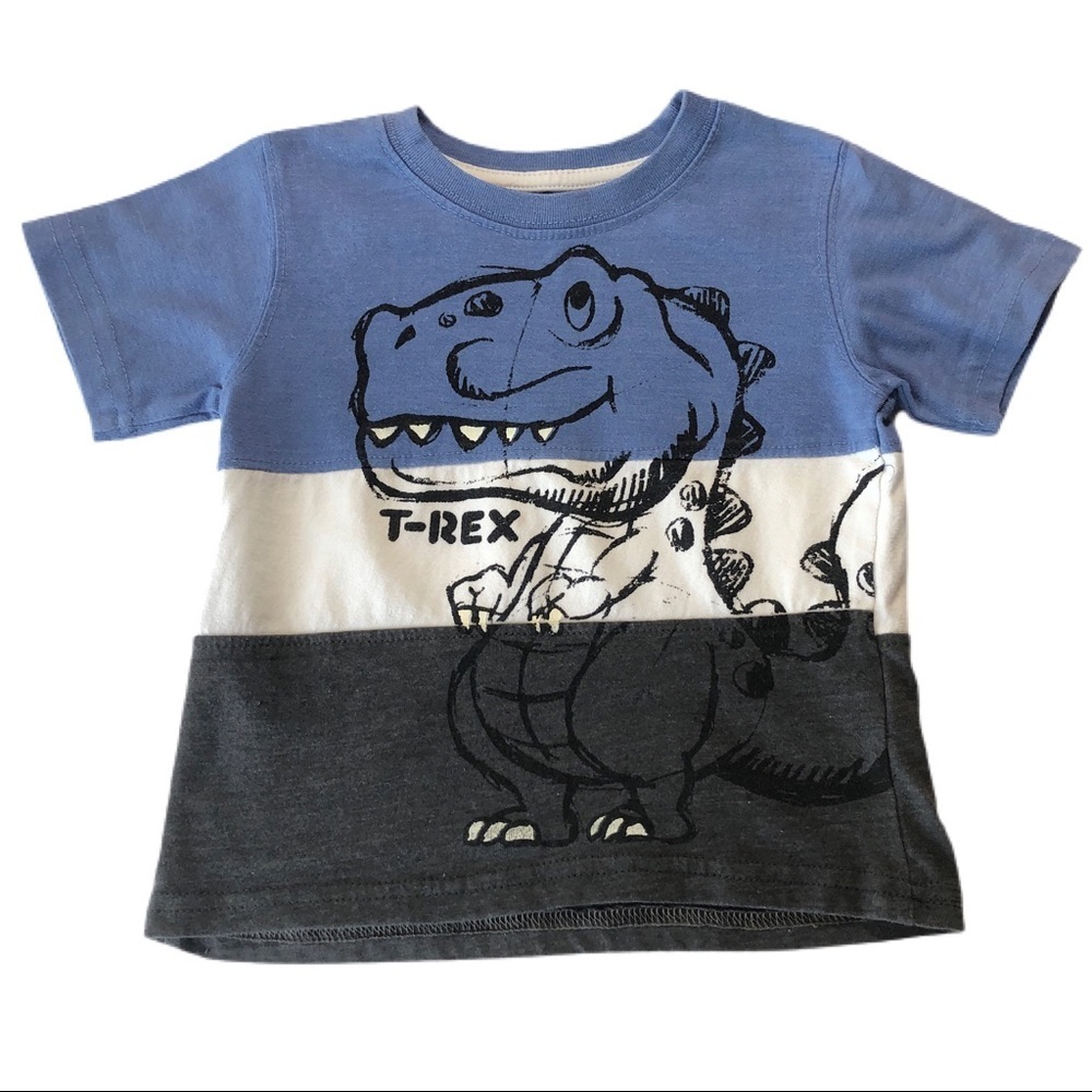 Little Rebels T-Rex Color Block Tee
